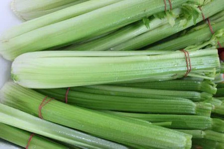 Freshness From Farm to Table