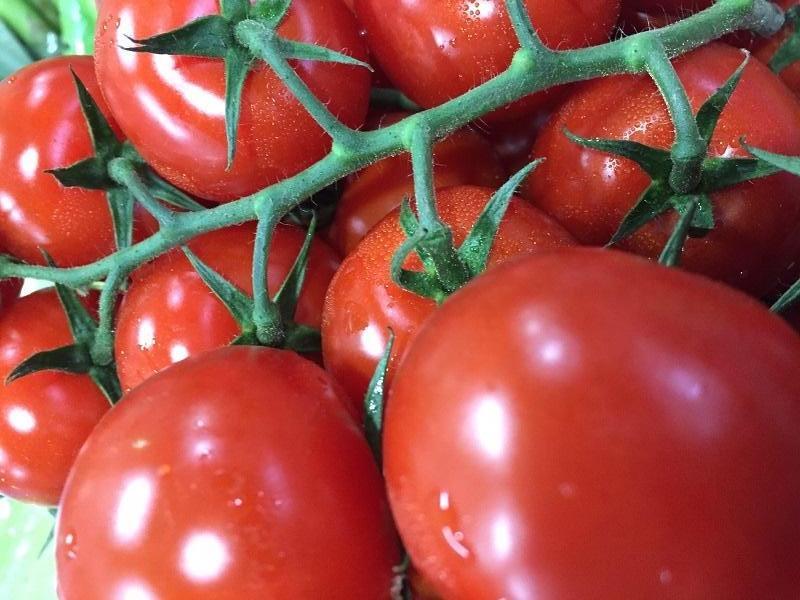 Other Organic Vegetables